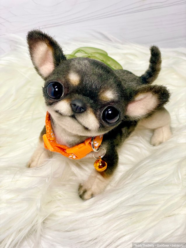 Stitch 🐶 — Реалистичные игрушки и звери (Натюр): собаки (фото 3)