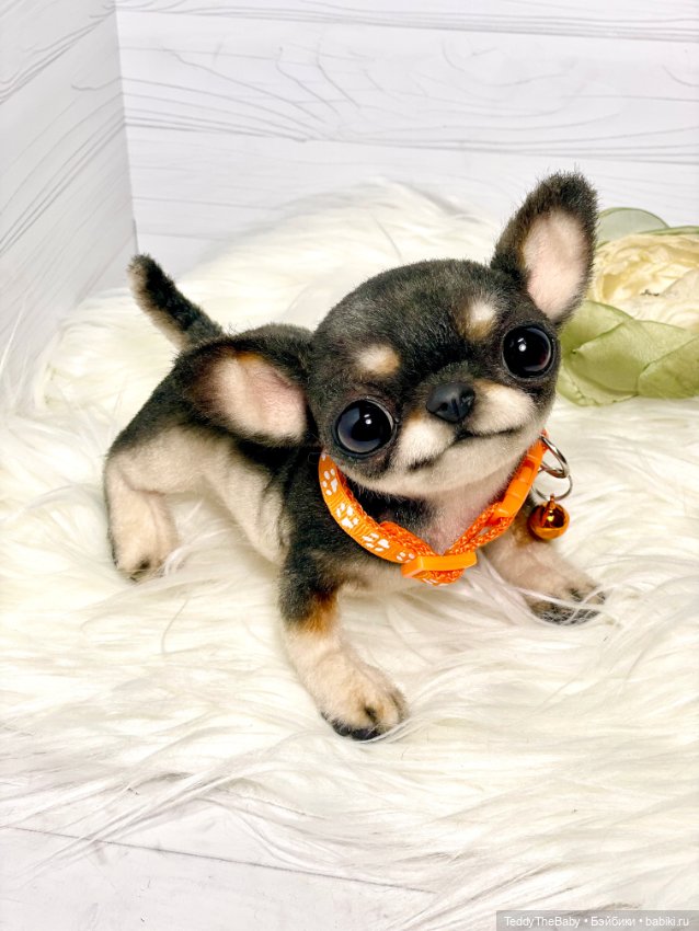 Stitch 🐶 — Реалистичные игрушки и звери (Натюр): собаки