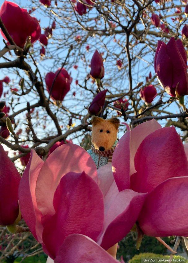 Парочка на весенней прогулке (фото 9)