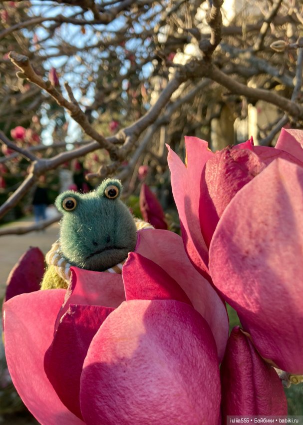 Парочка на весенней прогулке (фото 4)