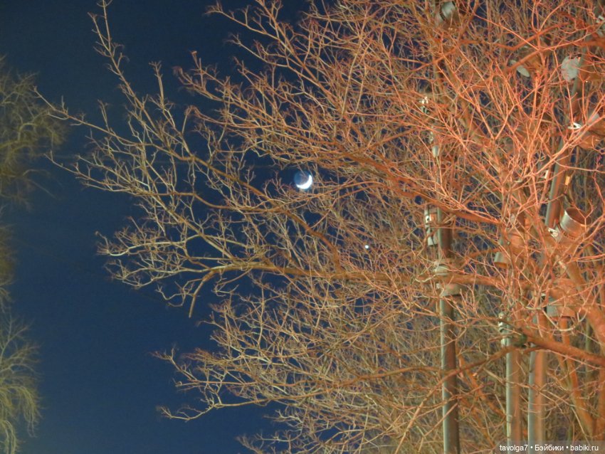 Лейла Bratz Style Starz и Арт Деко