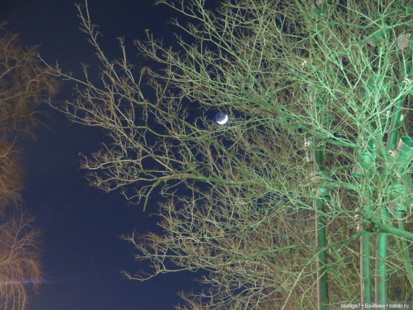 Лейла Bratz Style Starz и Арт Деко