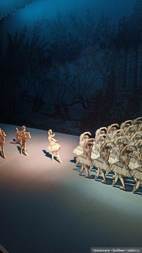 А пойдёмте на балет. Выставка "Первая позиция""