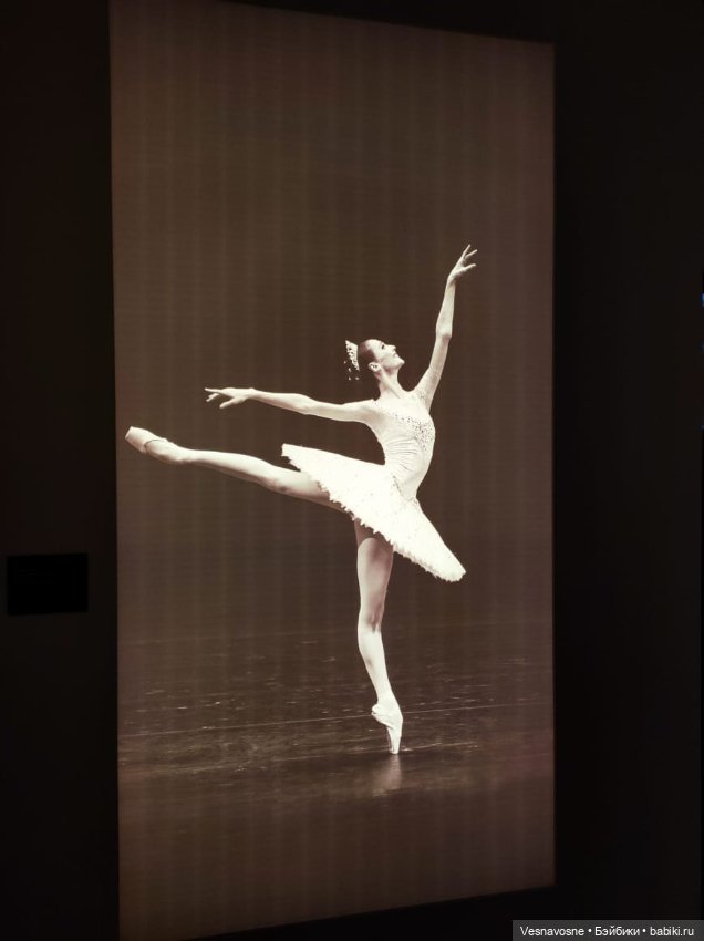 А пойдёмте на балет. Выставка "Первая позиция""