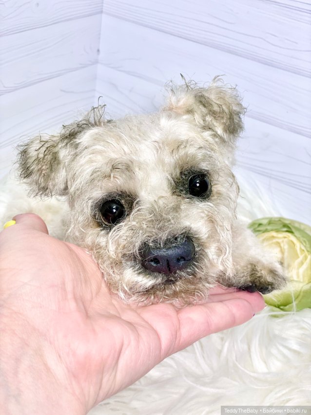 Дана🐶 — Реалистичные игрушки и звери (Натюр): собаки