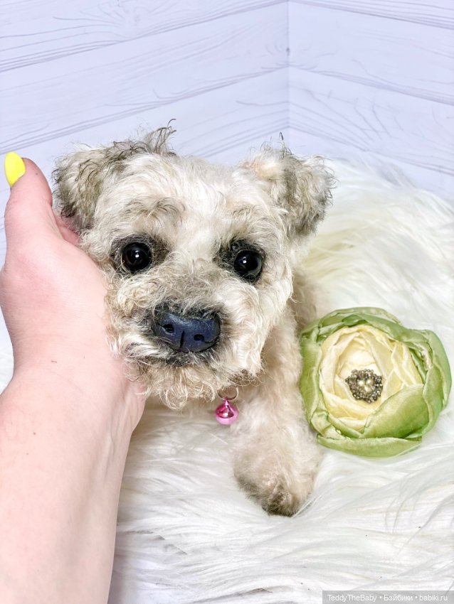Дана🐶 — Реалистичные игрушки и звери (Натюр): собаки