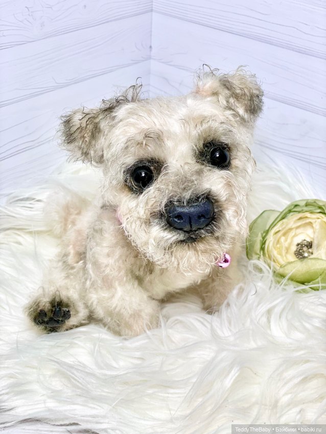 Дана🐶 — Реалистичные игрушки и звери (Натюр): собаки