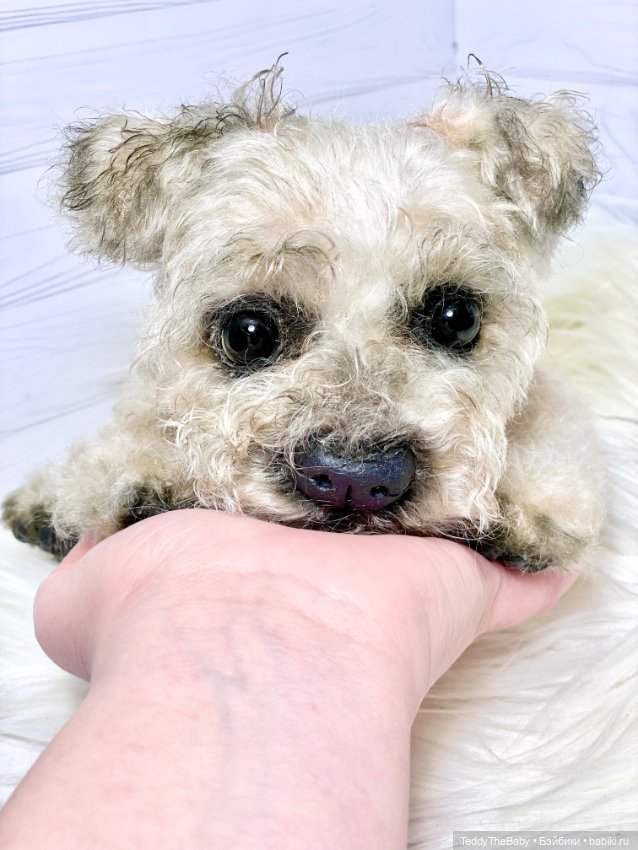 Дана🐶 — Реалистичные игрушки и звери (Натюр): собаки