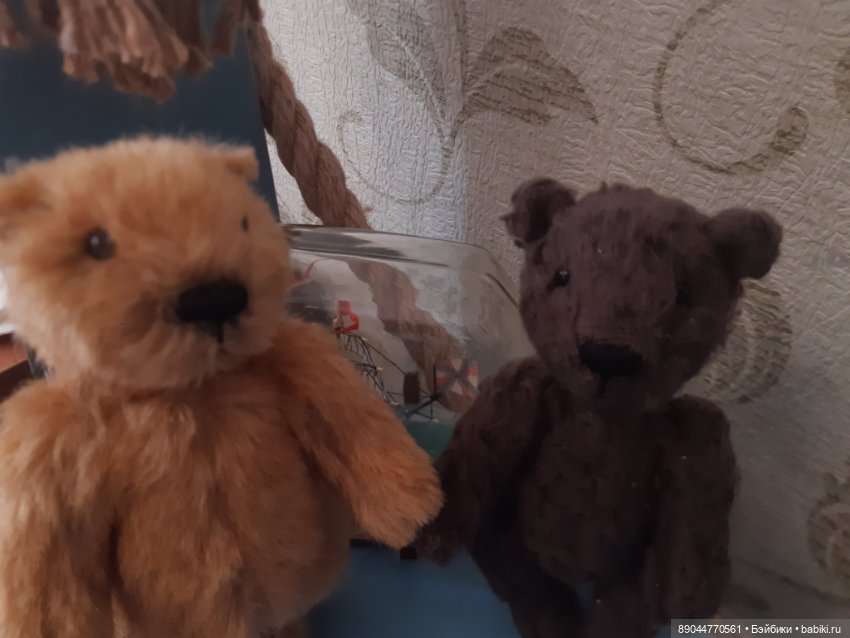 Бобёр и мишка - лучшие друзья 🚢 (фото 5)