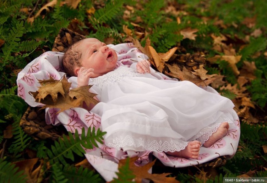 Милые малыши Андреа Арчелло