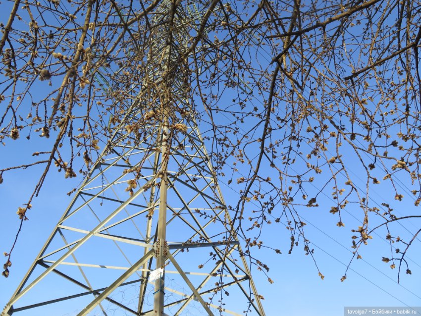 Весна в Москве — Куклы Dyvomir (Дивомир) и Trinity (Тринити): российские шарнирные куклы (фото 8)