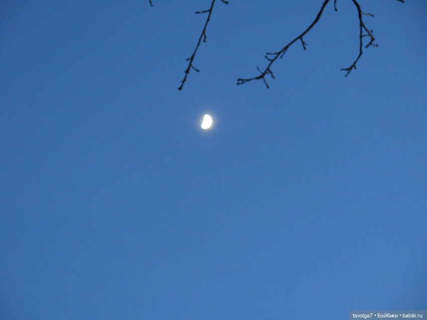 Весна в Москве — Куклы Dyvomir (Дивомир) и Trinity (Тринити): российские шарнирные куклы