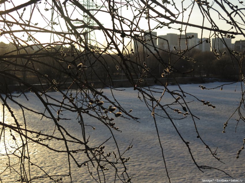 Весна в Москве — Куклы Dyvomir (Дивомир) и Trinity (Тринити): российские шарнирные куклы