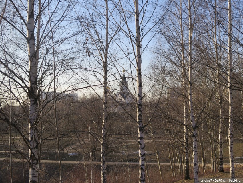 Весна в Москве — Куклы Dyvomir (Дивомир) и Trinity (Тринити): российские шарнирные куклы (фото 6)