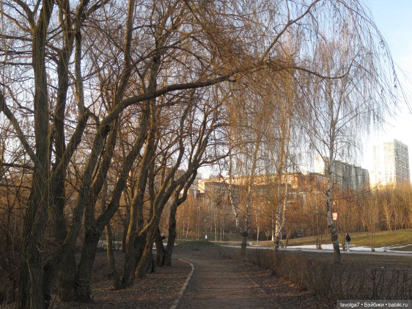 Весна в Москве — Куклы Dyvomir (Дивомир) и Trinity (Тринити): российские шарнирные куклы