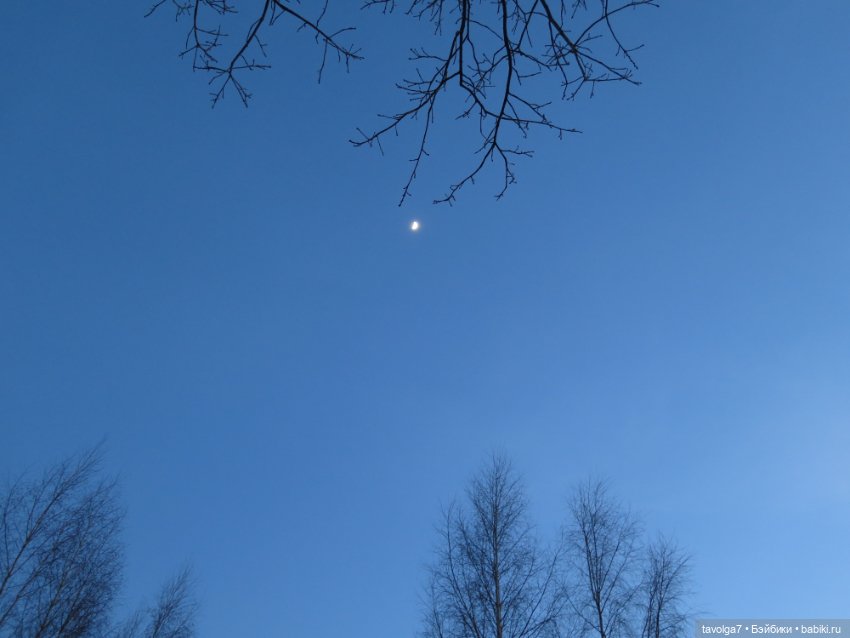 Весна в Москве — Куклы Dyvomir (Дивомир) и Trinity (Тринити): российские шарнирные куклы