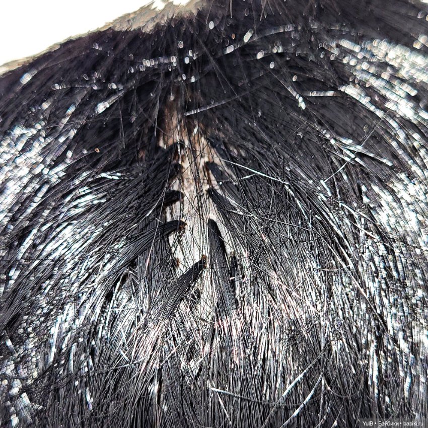 ...Кемаль — Испанские куклы (разное): Vestida de Azul (фото 6)