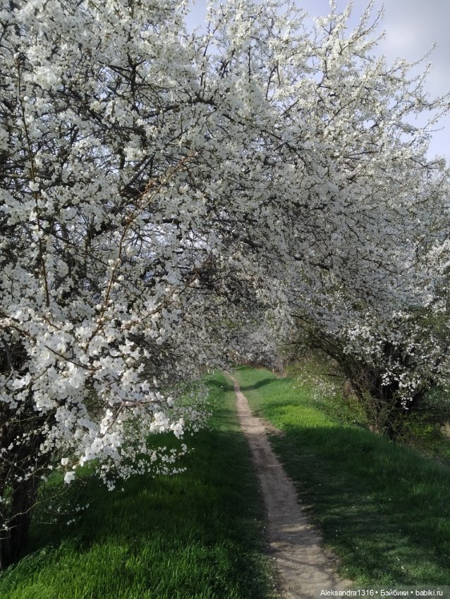 Весне дорогу🌱🌷🌿🌻🍀 — Куклы Carmen Gonzalez (Кармен Гонсалез): Мариетта (фото 3)
