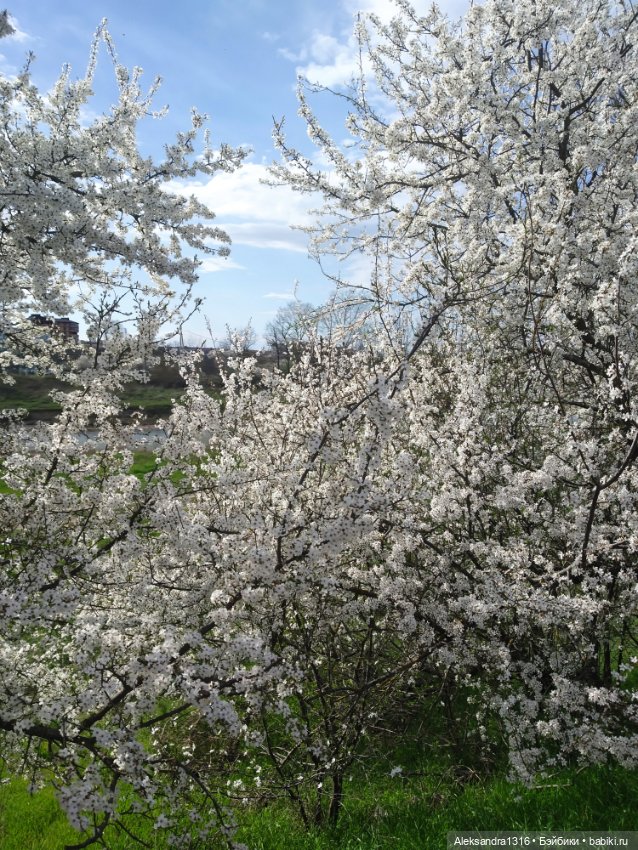 Весне дорогу🌱🌷🌿🌻🍀 — Куклы Carmen Gonzalez (Кармен Гонсалез): Мариетта