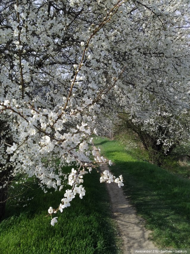 Весне дорогу🌱🌷🌿🌻🍀 — Куклы Carmen Gonzalez (Кармен Гонсалез): Мариетта (фото 5)