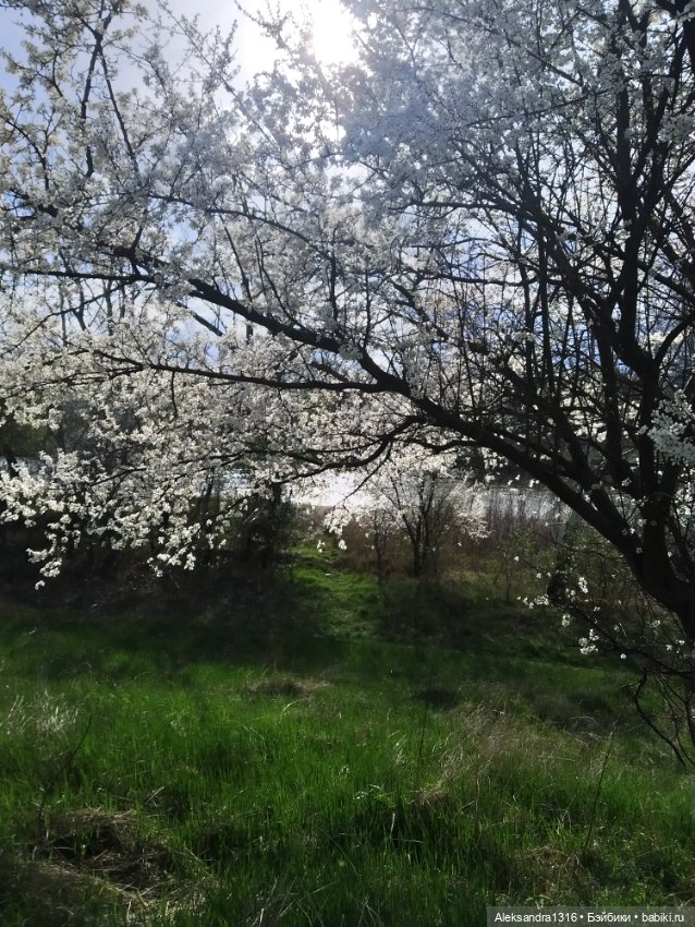 Весне дорогу🌱🌷🌿🌻🍀 — Куклы Carmen Gonzalez (Кармен Гонсалез): Мариетта