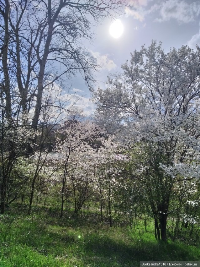 Весне дорогу🌱🌷🌿🌻🍀 — Куклы Carmen Gonzalez (Кармен Гонсалез): Мариетта