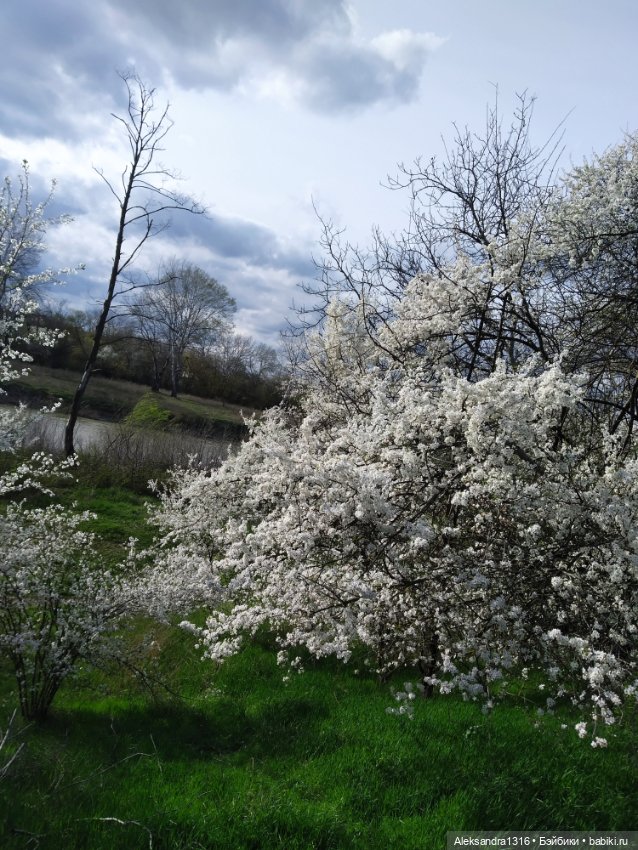 Весне дорогу🌱🌷🌿🌻🍀 — Куклы Carmen Gonzalez (Кармен Гонсалез): Мариетта (фото 7)