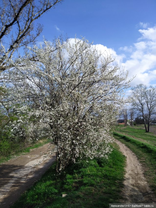 Весне дорогу🌱🌷🌿🌻🍀 — Куклы Carmen Gonzalez (Кармен Гонсалез): Мариетта (фото 9)