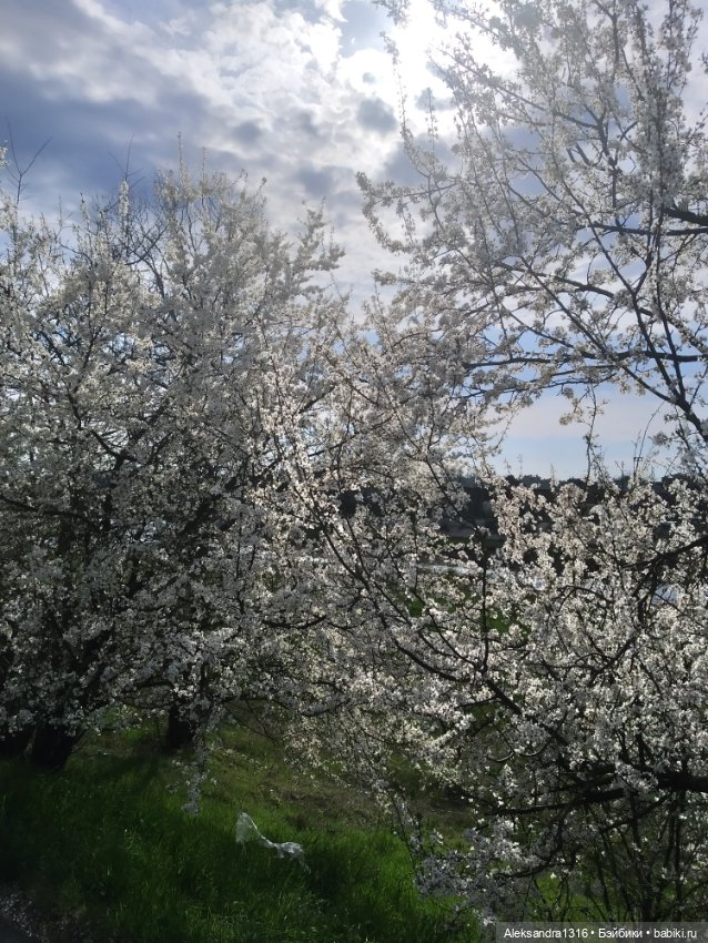 Весне дорогу🌱🌷🌿🌻🍀 — Куклы Carmen Gonzalez (Кармен Гонсалез): Мариетта