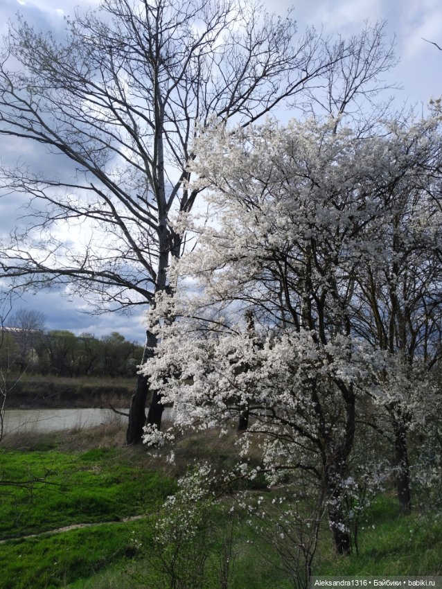 Весне дорогу🌱🌷🌿🌻🍀 — Куклы Carmen Gonzalez (Кармен Гонсалез): Мариетта