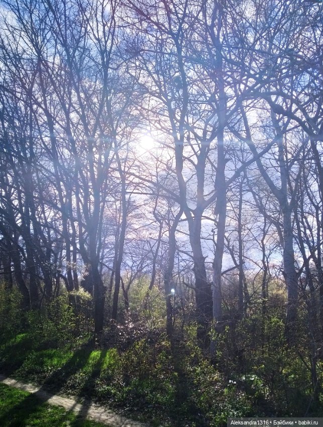 Весне дорогу🌱🌷🌿🌻🍀 — Куклы Carmen Gonzalez (Кармен Гонсалез): Мариетта