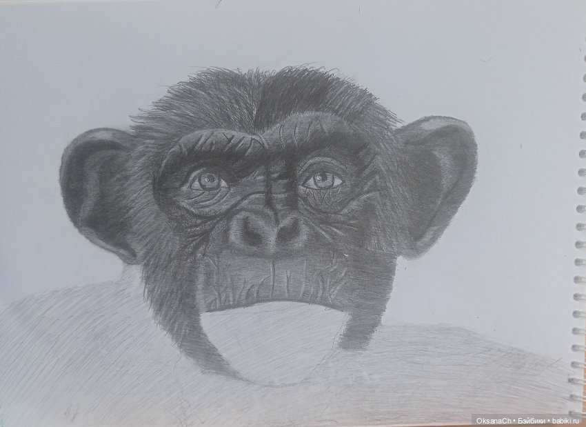 Терапия искусством — Рисование и арт: скетчи (фото 4)