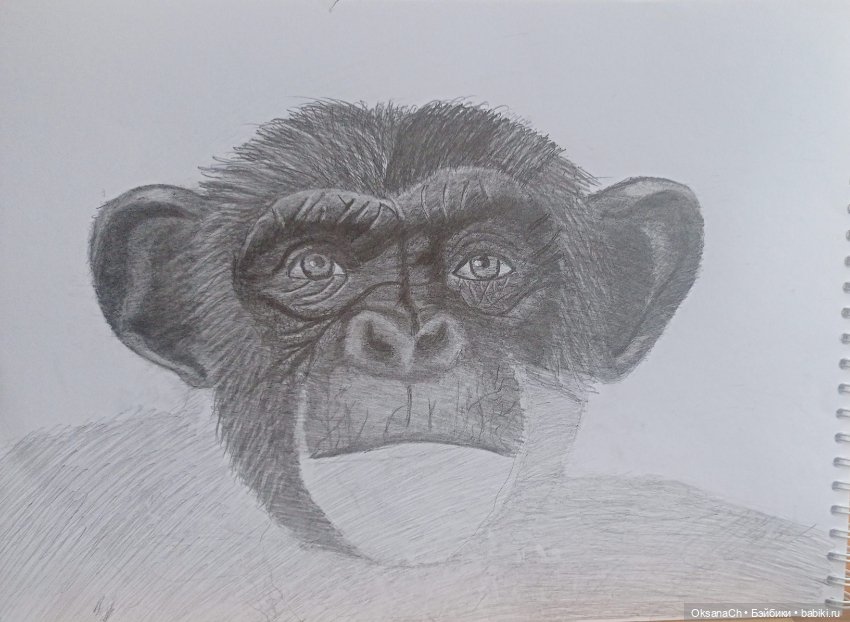 Терапия искусством — Рисование и арт: скетчи (фото 3)