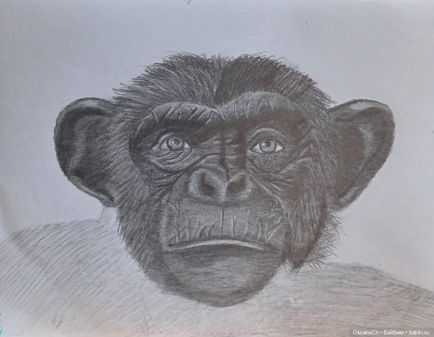 Терапия искусством — Рисование и арт: скетчи (фото 5)