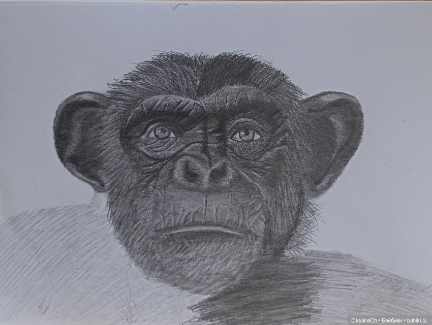 Терапия искусством — Рисование и арт: скетчи (фото 6)