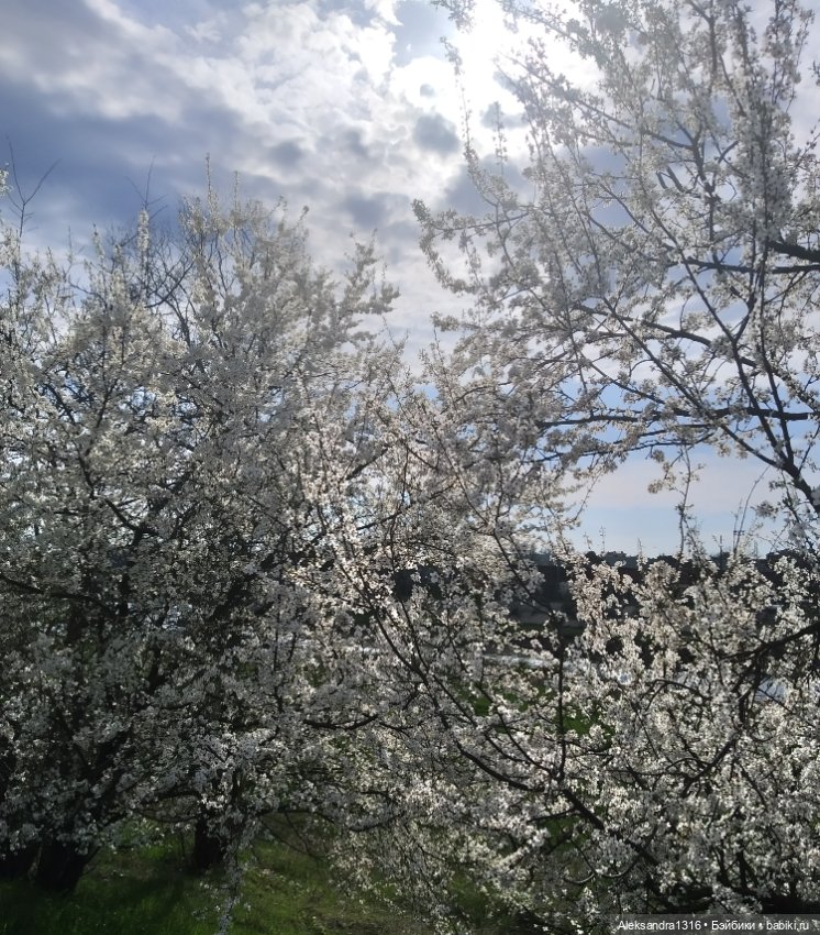 Весне дорогу🌱🌷🌿🌻🍀 — Куклы Carmen Gonzalez (Кармен Гонсалез): Мариетта