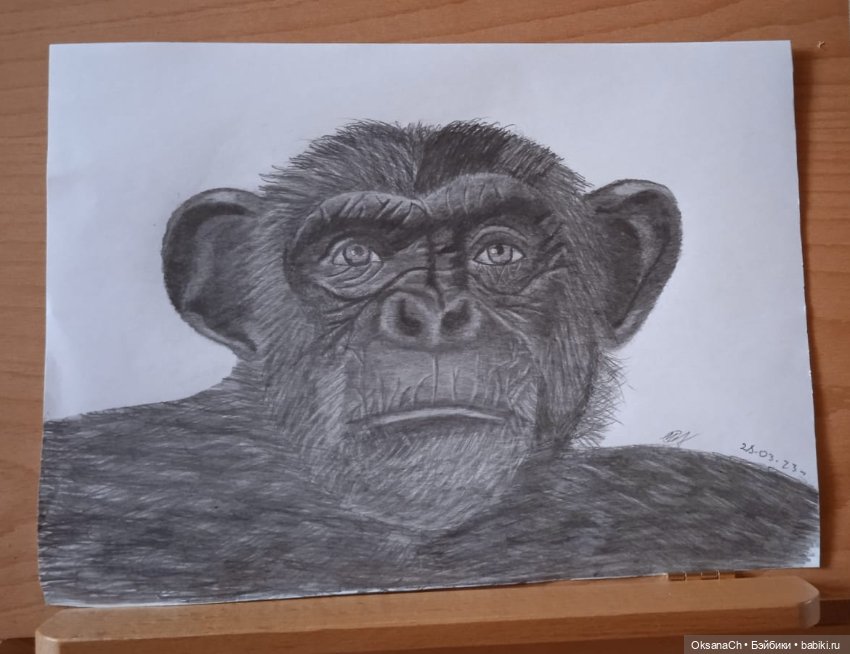 Терапия искусством — Рисование и арт: скетчи (фото 8)