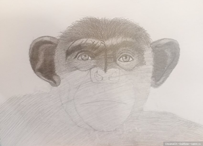 Терапия искусством — Рисование и арт: скетчи (фото 2)