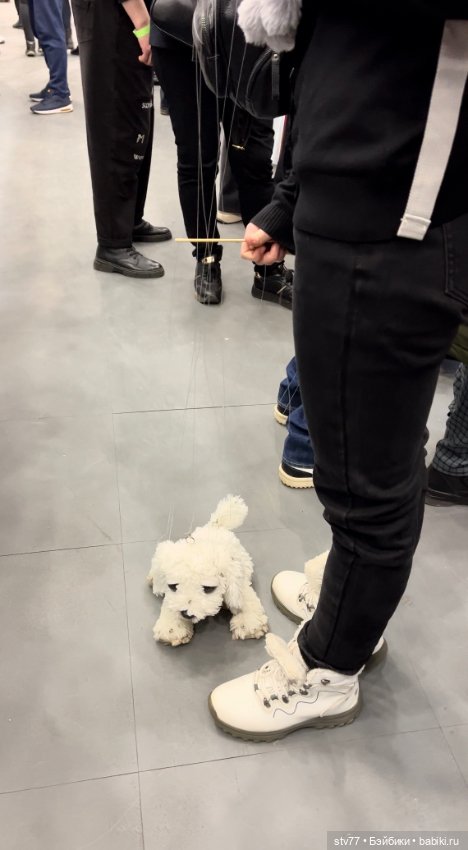 Ах, эта выставка Тедди!!!!! 2023 апрель Тишинка