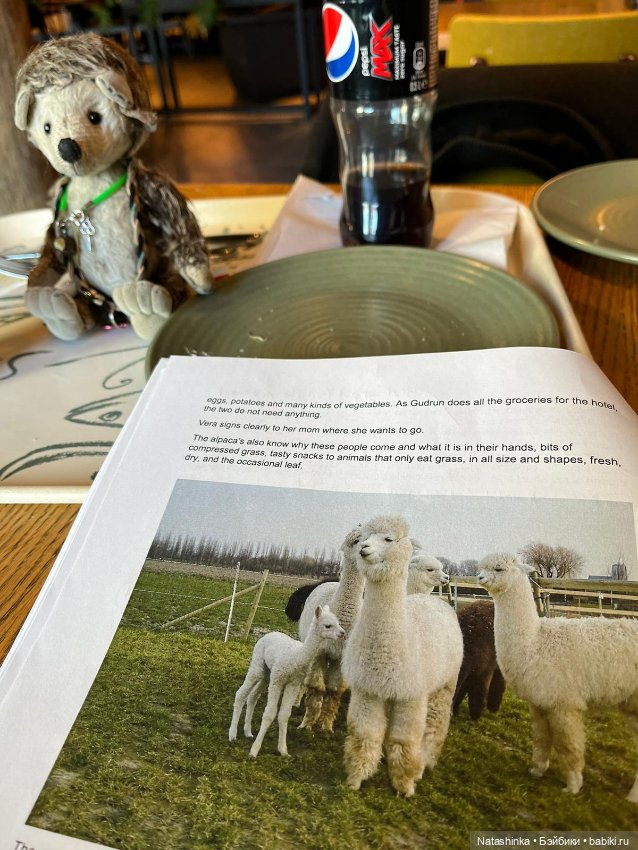 Fashion Dolls 492 — Туризм и путешествия: фотоотчеты из поездок