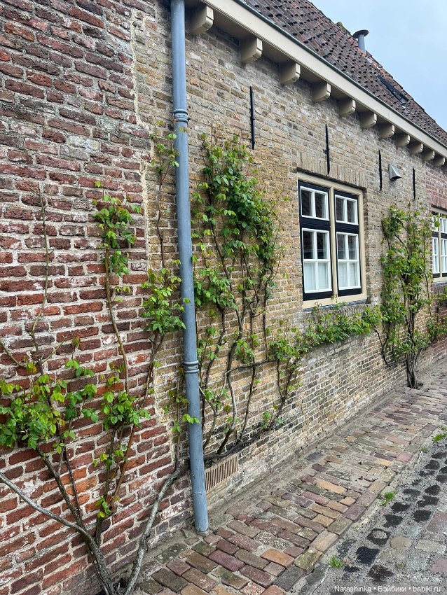 Fashion Dolls 492 — Туризм и путешествия: фотоотчеты из поездок