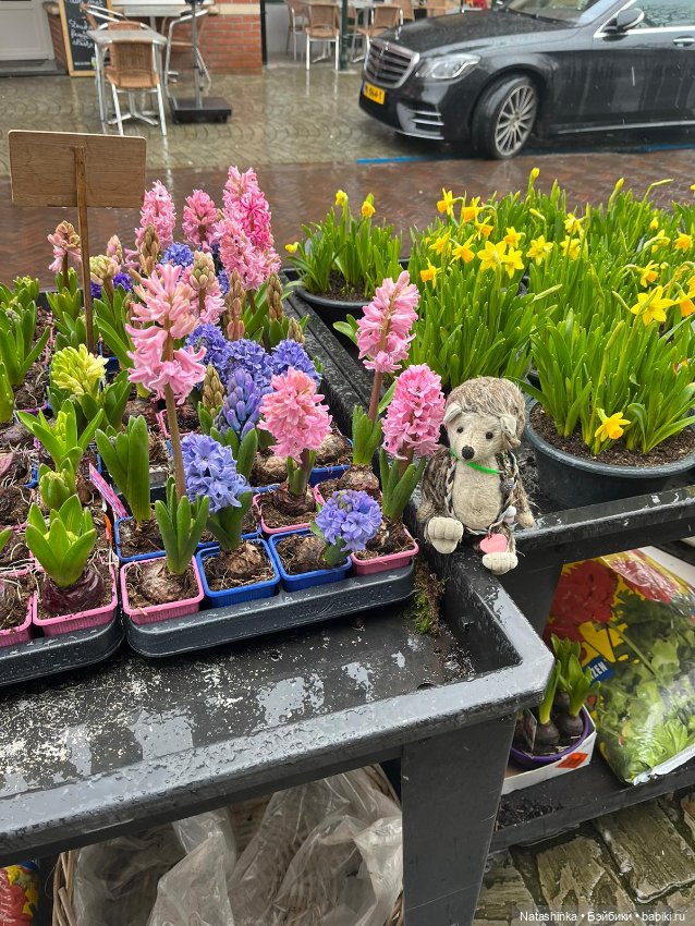 Fashion Dolls 492 — Туризм и путешествия: фотоотчеты из поездок (фото 9)