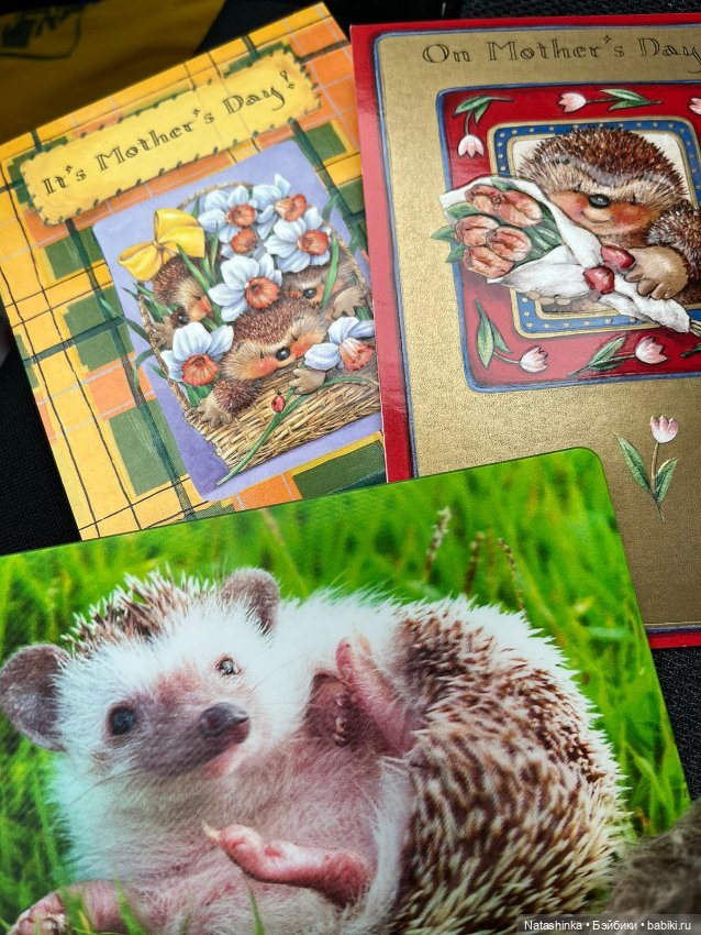 Fashion Dolls 492 — Туризм и путешествия: фотоотчеты из поездок