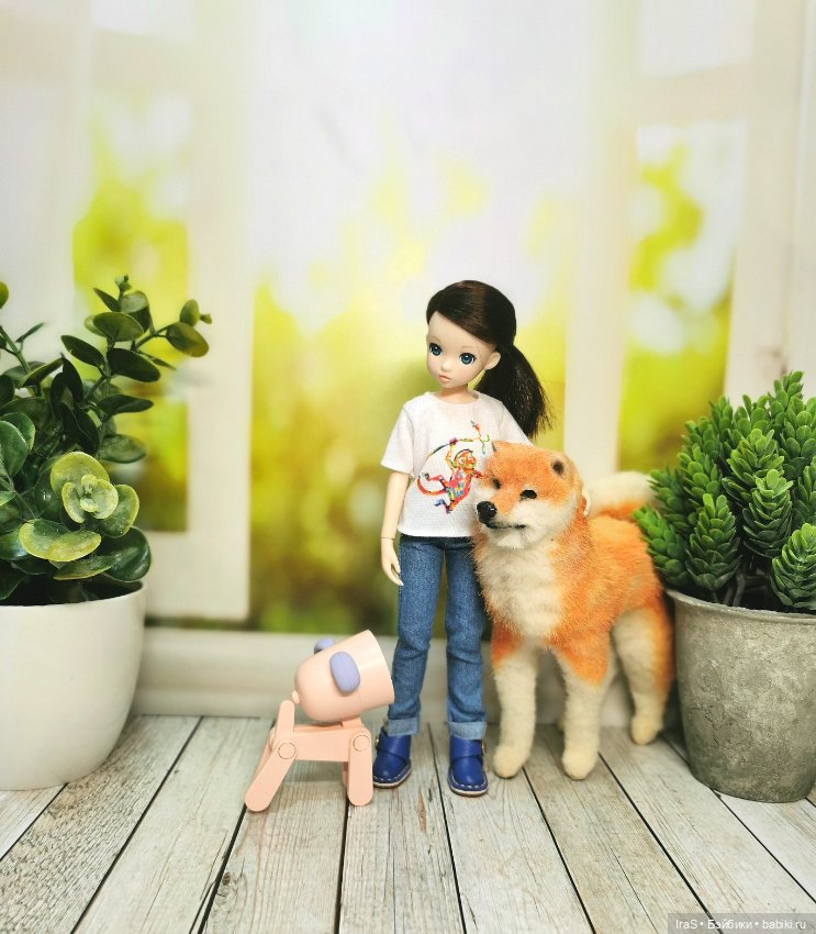 Просто немного Руруко — Куклы Momoko и Ruruko (Petworks