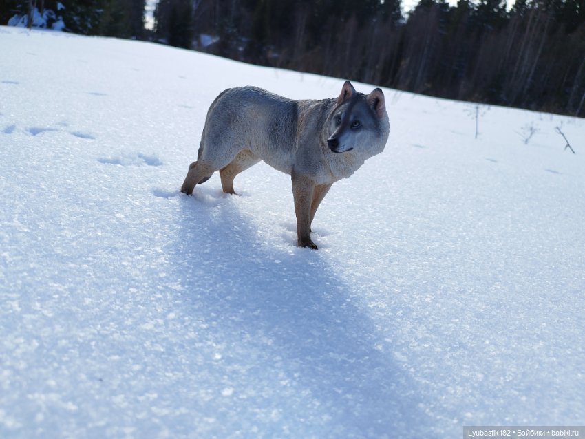 Ведьма — Куклы Phicen (TBLeague/Фицен): бесшовные тела (фото 3)