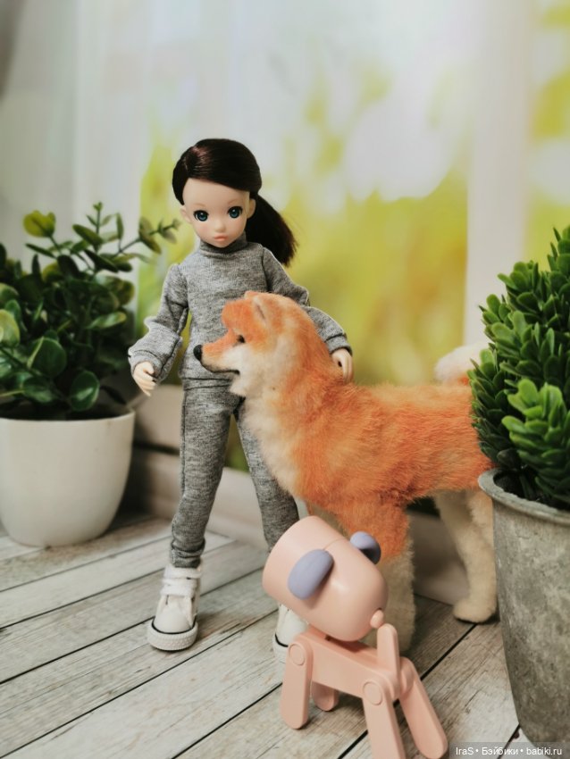 Просто немного Руруко — Куклы Momoko и Ruruko (Petworks (фото 3)