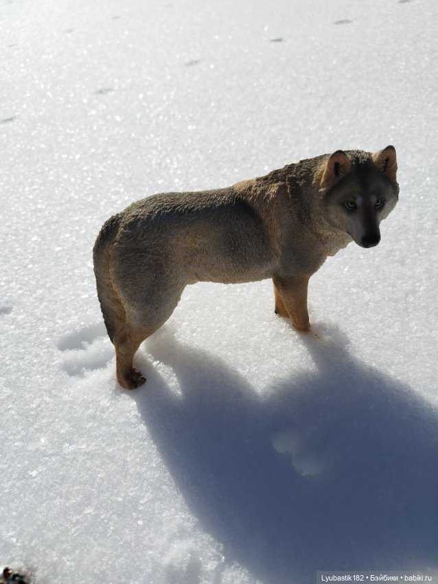 Ведьма — Куклы Phicen (TBLeague/Фицен): бесшовные тела