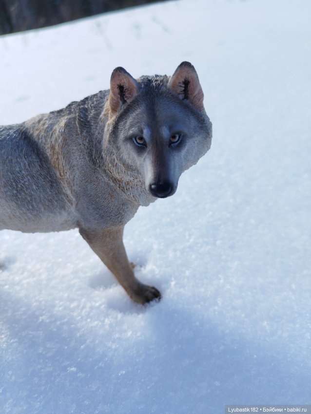 Ведьма — Куклы Phicen (TBLeague/Фицен): бесшовные тела (фото 4)