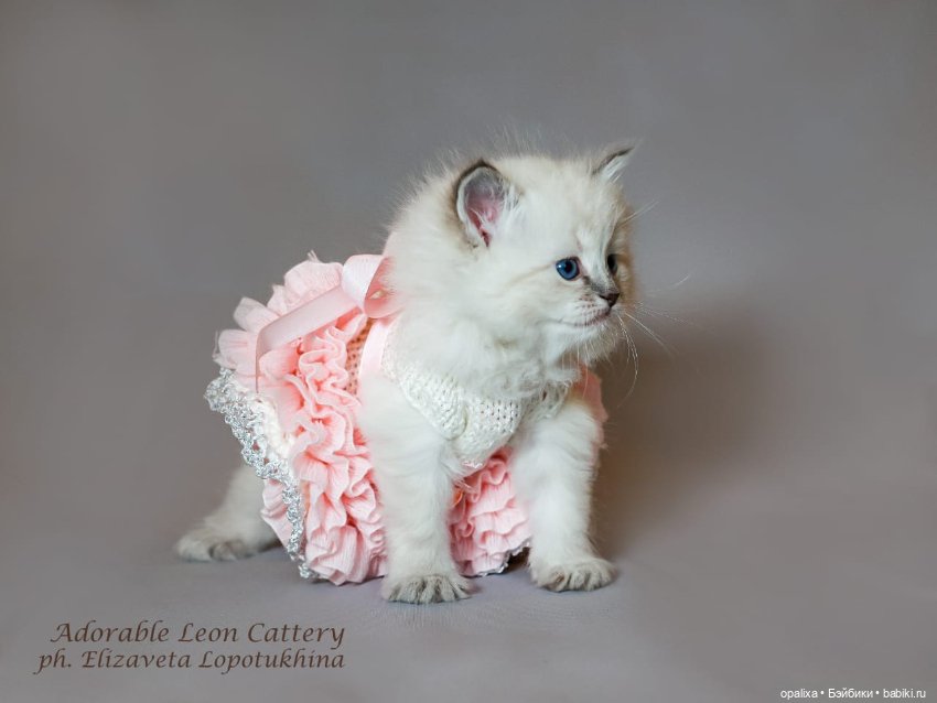 Платья балеринки неожиданное применение