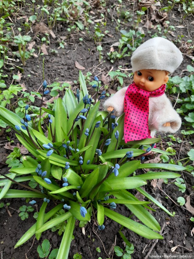 Банально:весна🍀☘️🌱🌞 — Винтажные куклы ГДР (Немки): Бигги (фото 9)